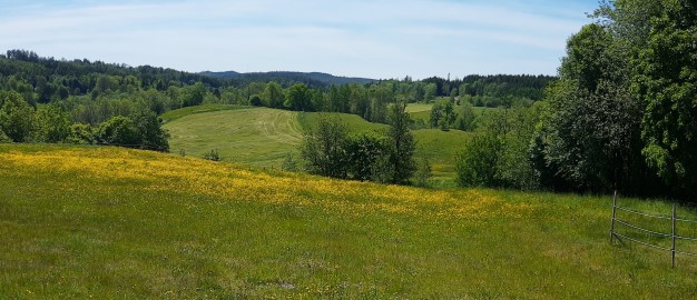Ängsbeklädda kullar och lövskog, sommar. Foto. Ängsbeklädda kullar och lövskog, sommar. Foto.
