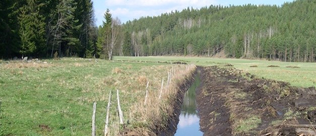Utdikad torvmark. Utdikad torvmark.