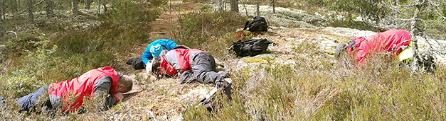 Geologer i fält