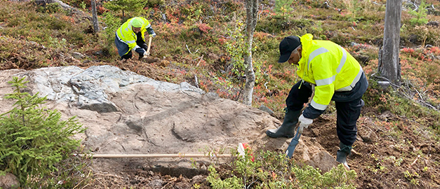 Naturnära jobb.