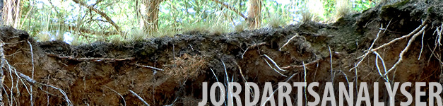 Jord.