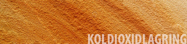 Koldioxidlagring Koldioxidlagring