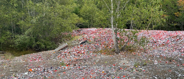 Bilden visar miljö från glasriket där glaskross finns utspritt på marken. Bilden visar miljö från glasriket där glaskross finns utspritt på marken.