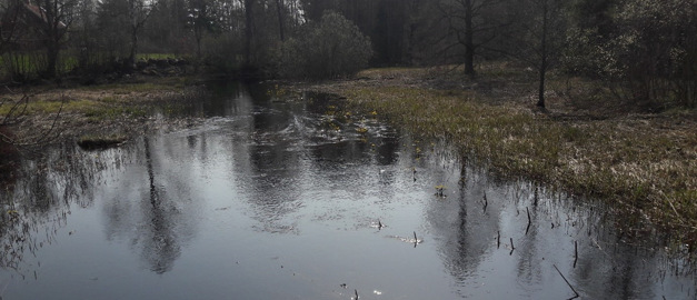 Bilden visar Ljungbyån som rinner bort från kameran genom landskapet med gräs och träd på varje sida. Bilden visar Ljungbyån som rinner bort från kameran genom landskapet med gräs och träd på varje sida.