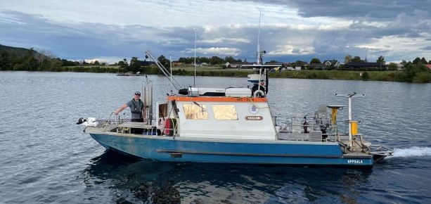 Ugglan-i-v&auml;ttern.jpg