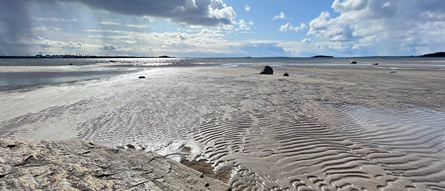 Foto på en strand. Foto på en strand.