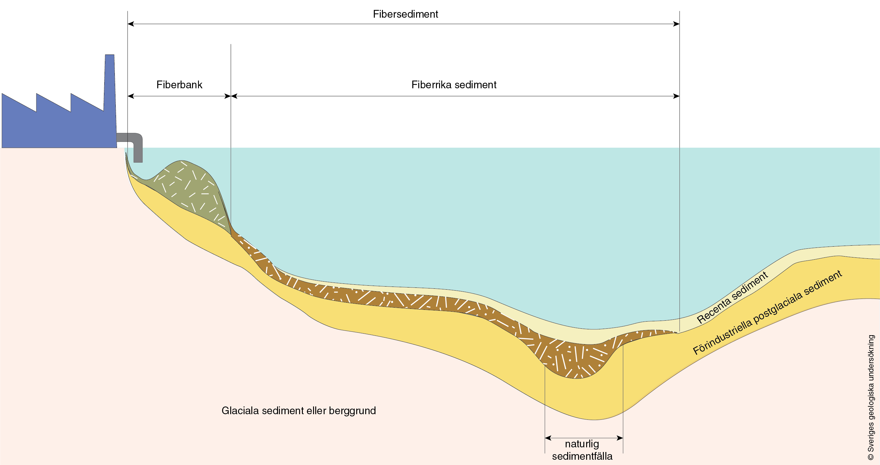 Schematisk bild över fibersediment utanför utsläppskälla. Illustration.