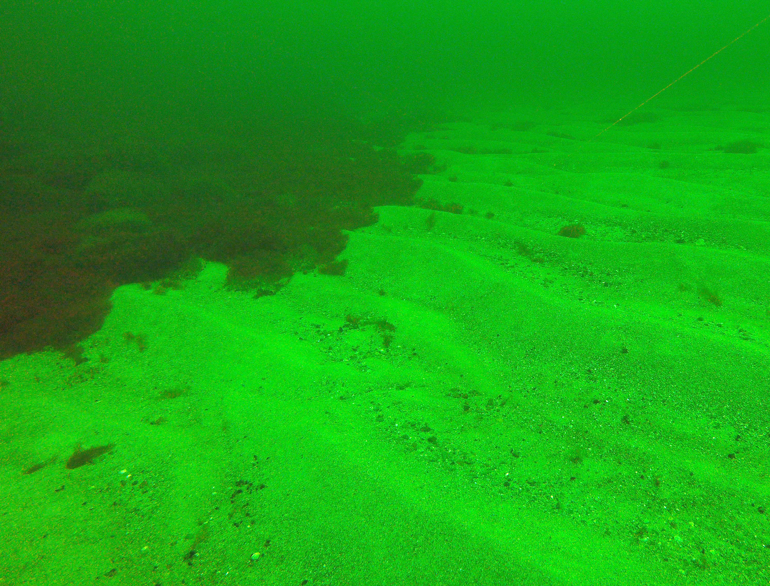 Foto av sand på havsbotten.