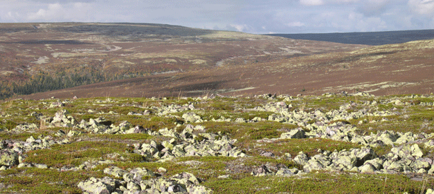 Vy över fjäll. Vy över fjäll.