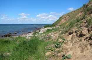 Två foton från samma ställe vid Fortuna, söder om Helsingborg, på Skånes västkust. Det vänstra är taget i juni 2012, den högra är tagit i september 2016. En påtaglig erosion, orsakad av skred i de finkorniga sedimenten, har ägt rum. Huvuddelen av erosionen skedde i samband med stormen Sven i december 2013. Foto Kärstin Malmberg Persson.