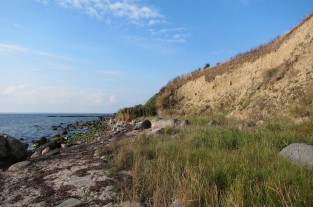 Två foton från samma ställe vid Fortuna, söder om Helsingborg, på Skånes västkust. Det vänstra är taget i juni 2012, den högra är tagit i september 2016. En påtaglig erosion, orsakad av skred i de finkorniga sedimenten, har ägt rum. Huvuddelen av erosionen skedde i samband med stormen Sven i december 2013. Foto Kärstin Malmberg Persson.
