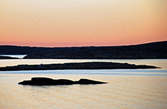 Bild på solnedgång över en kust.