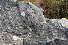 Bild på nickelmalm.