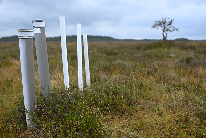 webb_KOMOSSE_TIVEDEN - 13.jpg