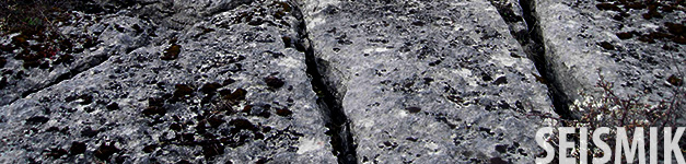 Seismic